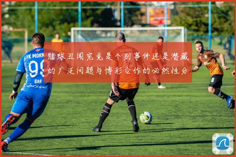 赌球丑闻究竟是个别事件还是潜藏的广泛问题与博彩合作的必然性分析